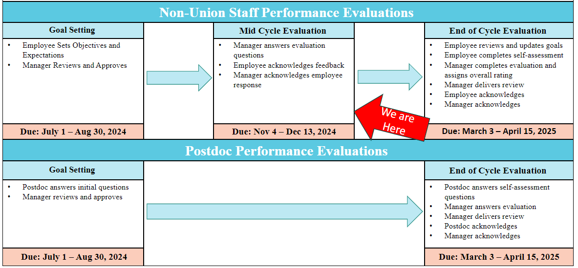 Workday Talent and Performance Hub - Northeastern Student Portal (SFS)